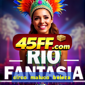 circo maluco beleza recife circo maluco